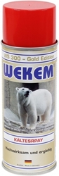 Kältespray WS300